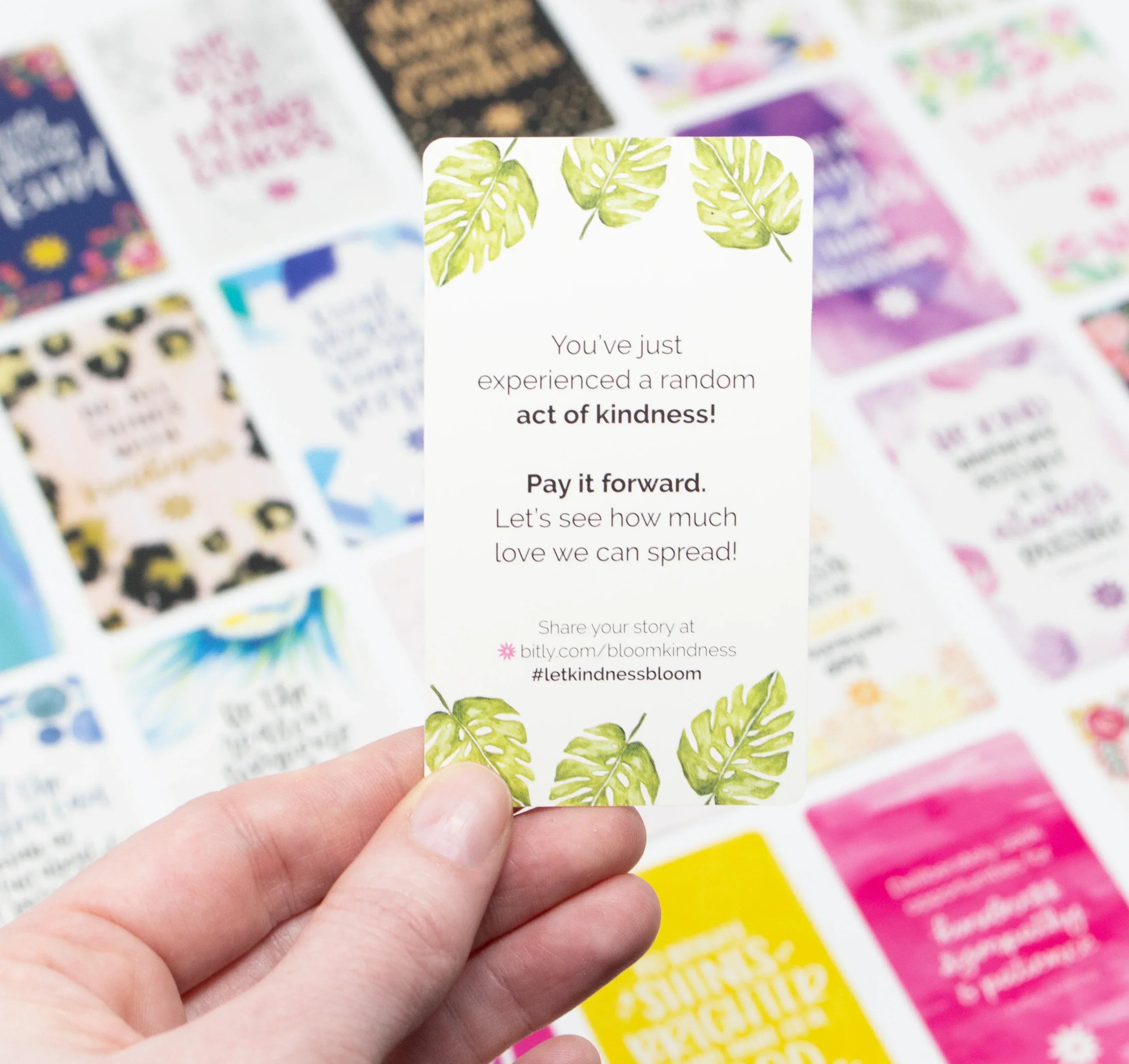 Card Deck, Act of Kindness Cards - Image 17