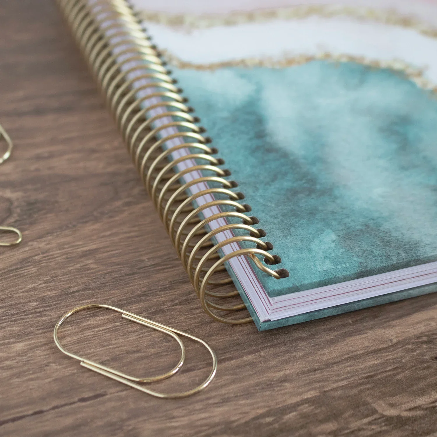Contact Book, Daydream Believer - Image 12