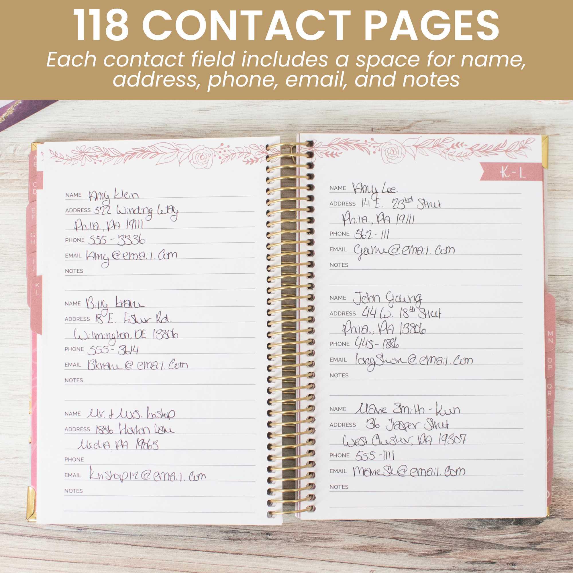 Contact Book, Daydream Believer - Image 3