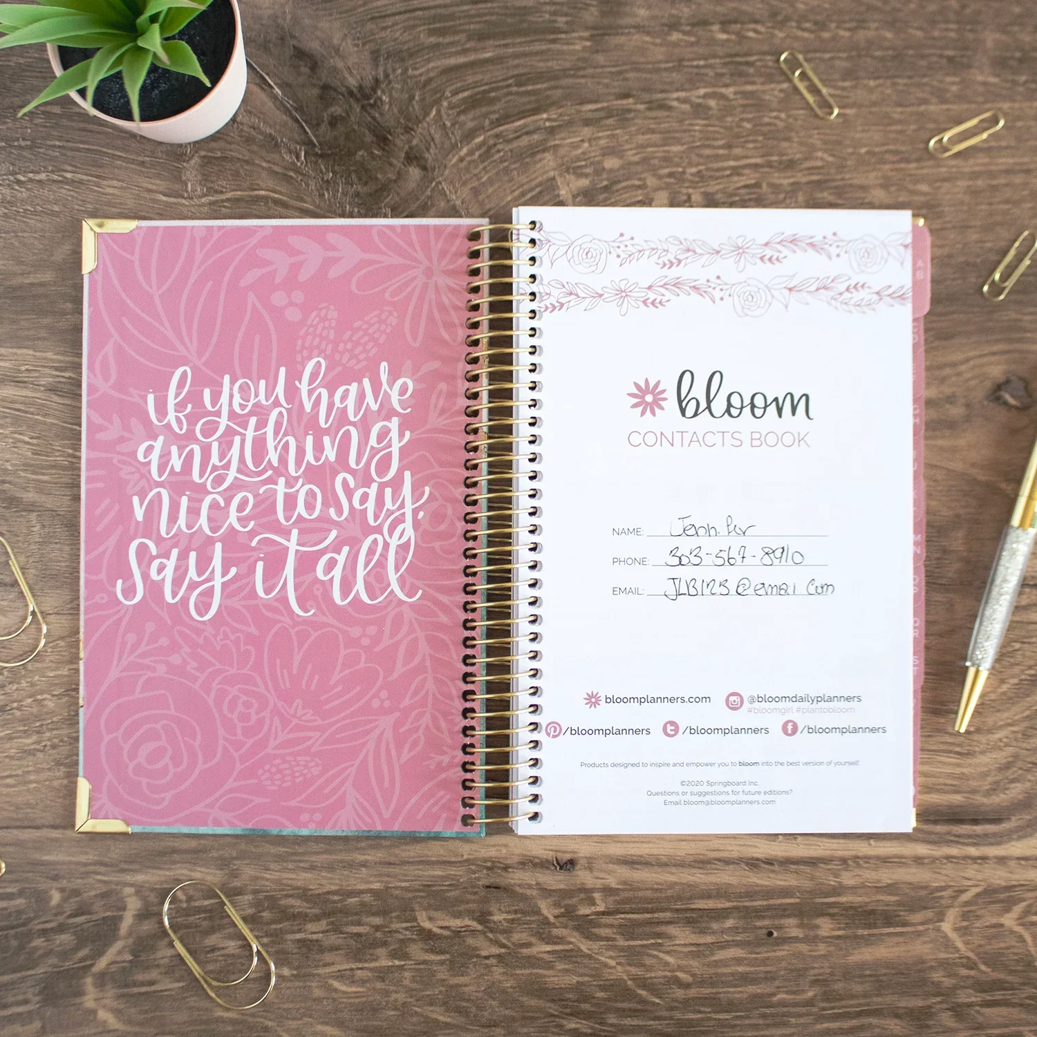 Contact Book, Daydream Believer - Image 7