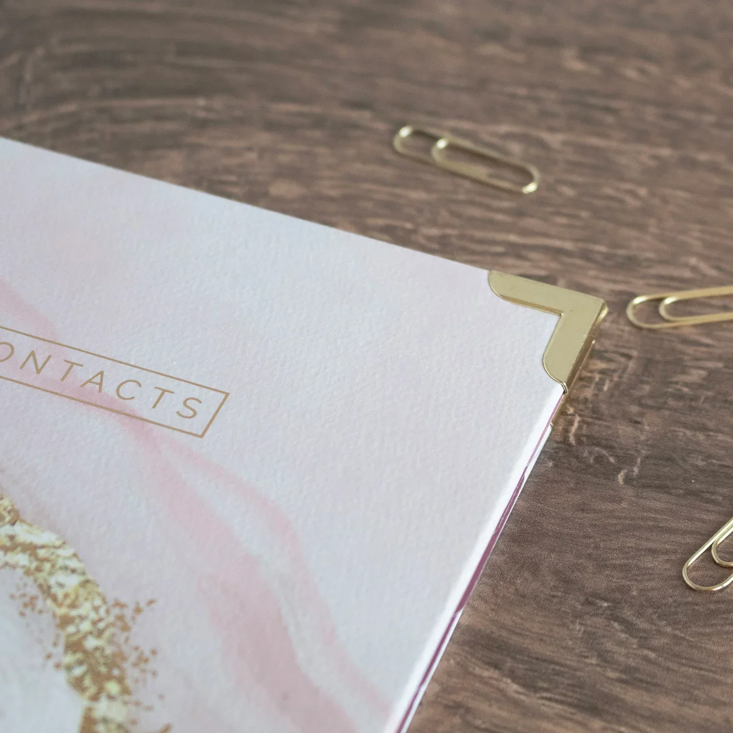 Contact Book, Daydream Believer - Image 9