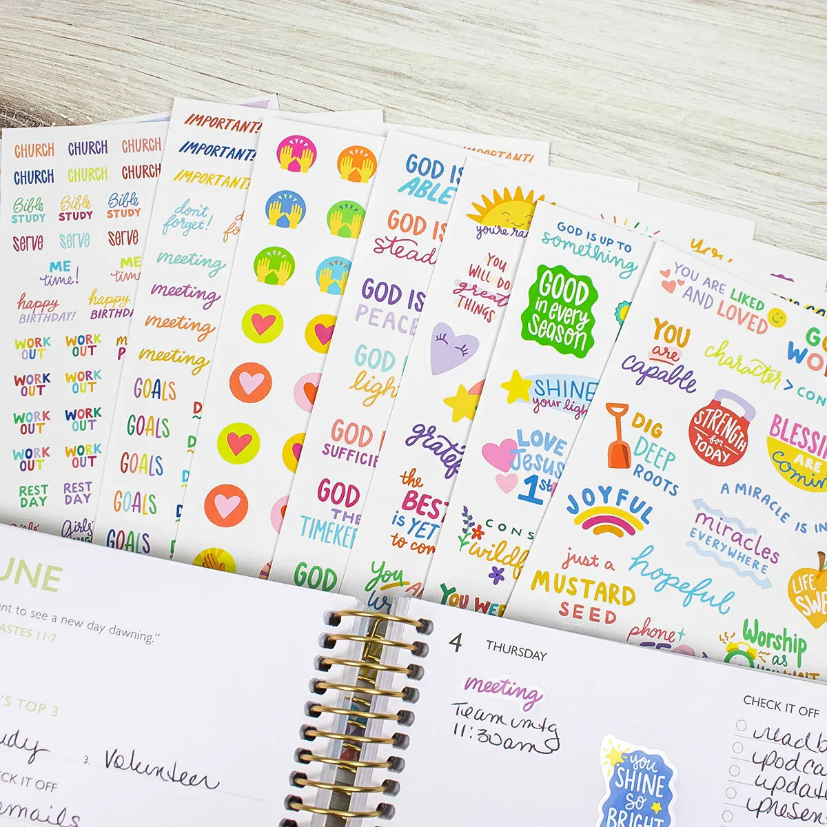 Planner Stickers | Rooted in Faith – Cleerely Stated x bloom - Image 13