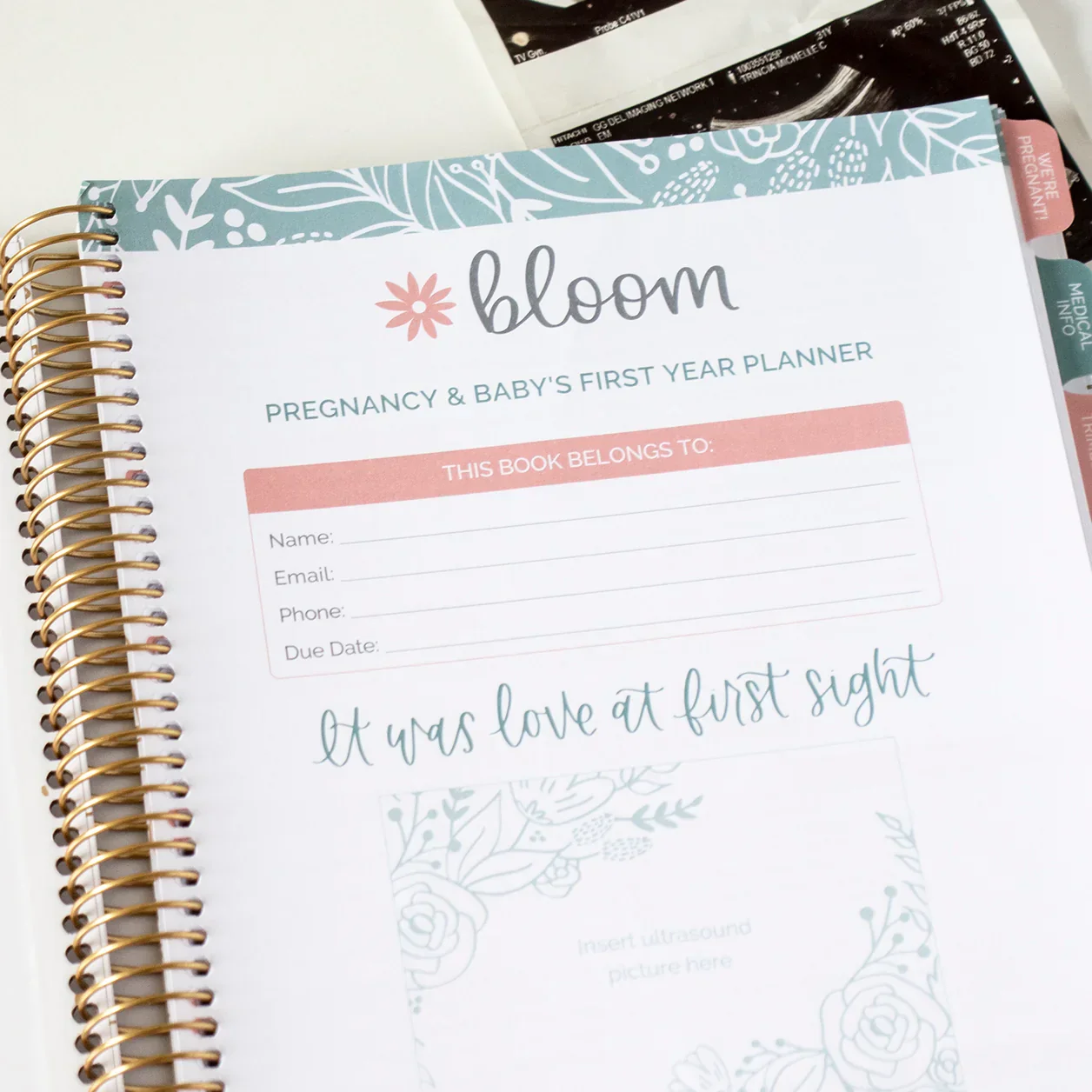 Pregnancy & Baby's First Year Planner & Calendar, The Story of You - Image 11