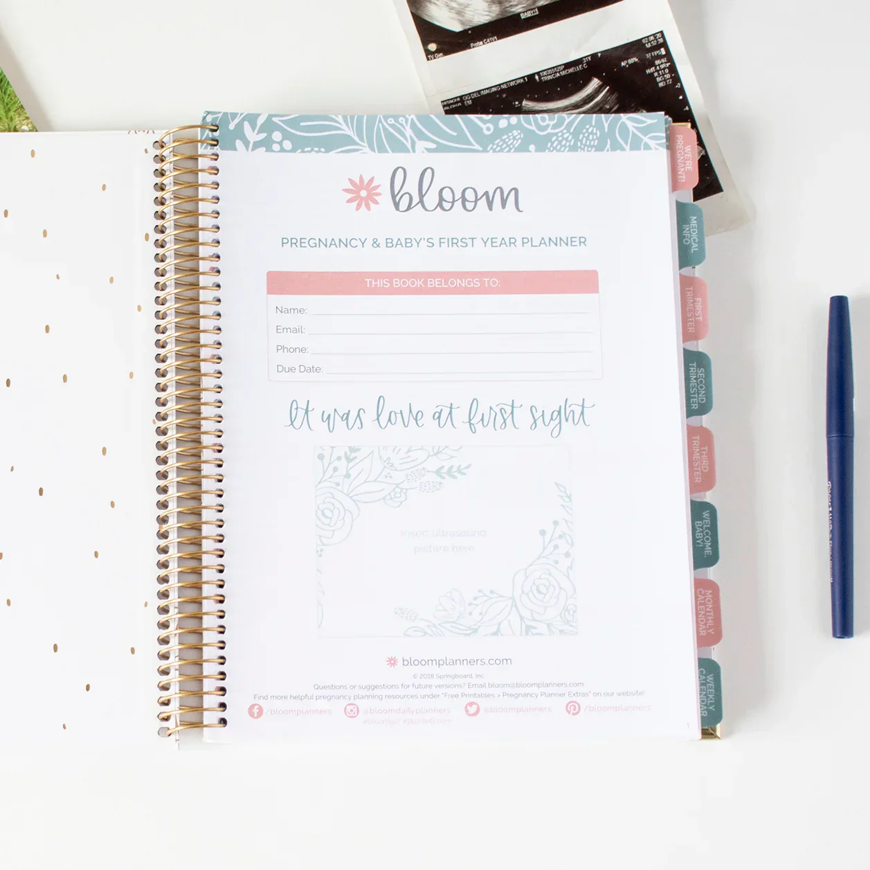 Pregnancy & Baby's First Year Planner & Calendar, The Story of You - Image 12