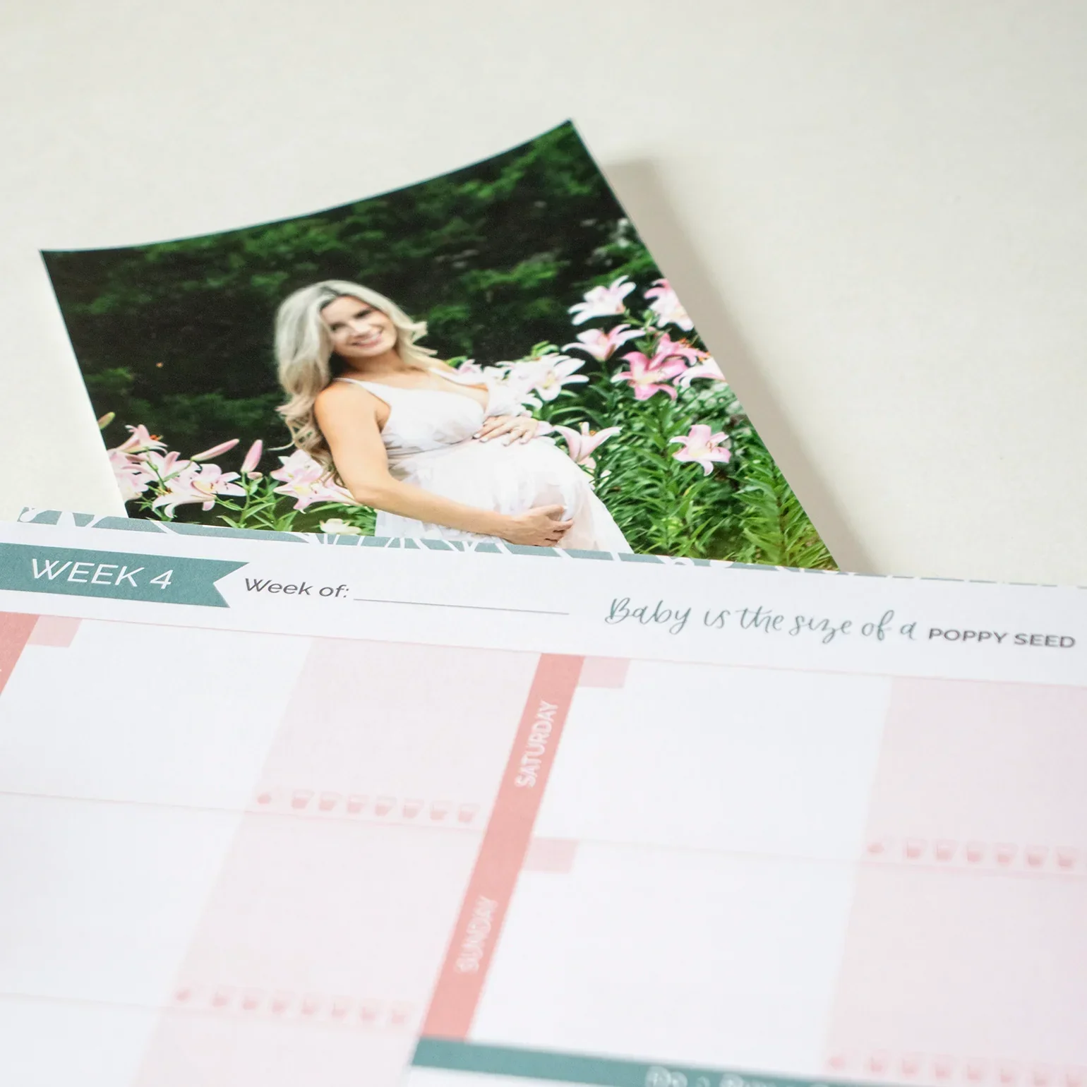 Pregnancy & Baby's First Year Planner & Calendar, The Story of You - Image 18