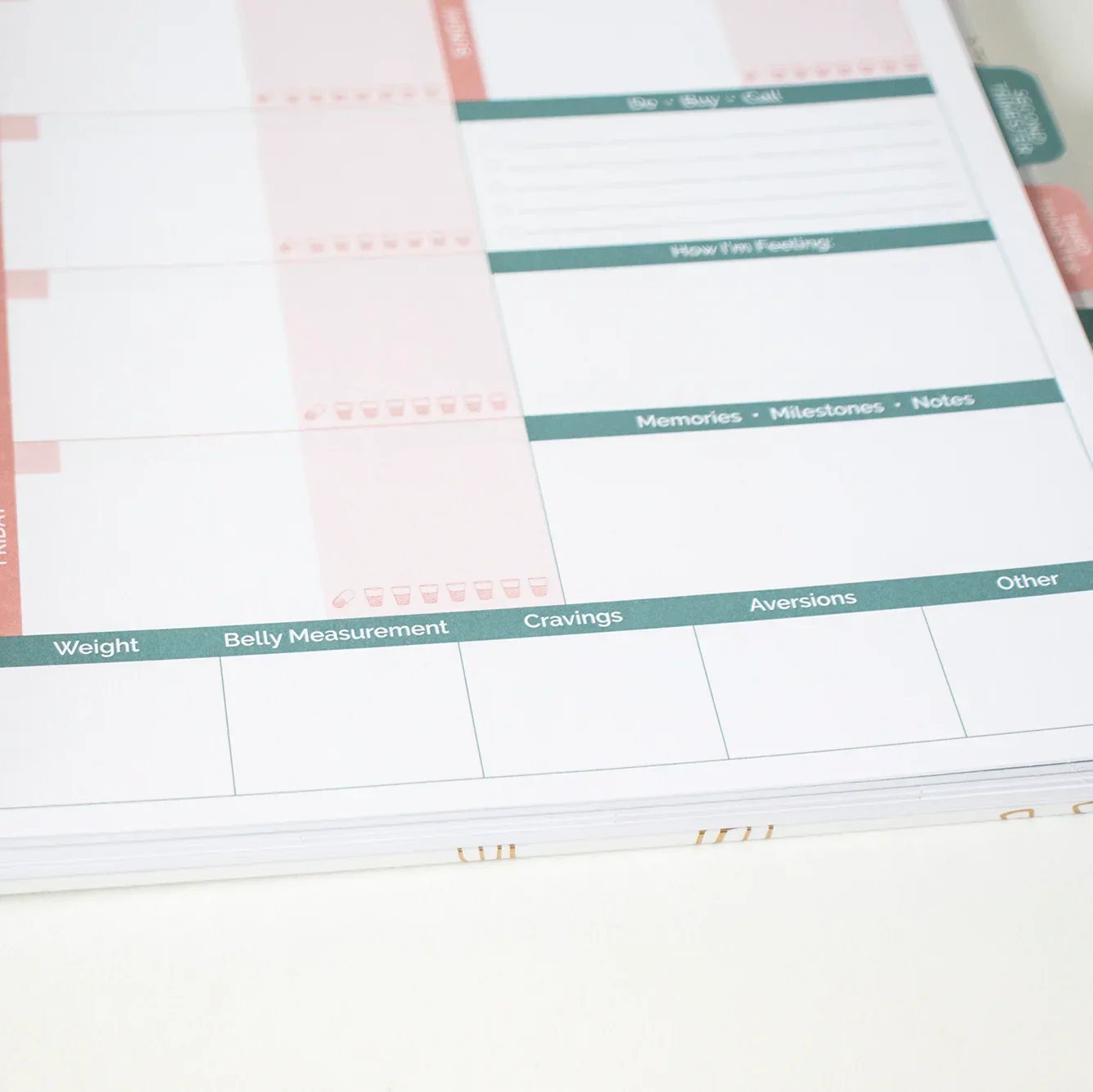 Pregnancy & Baby's First Year Planner & Calendar, The Story of You - Image 19