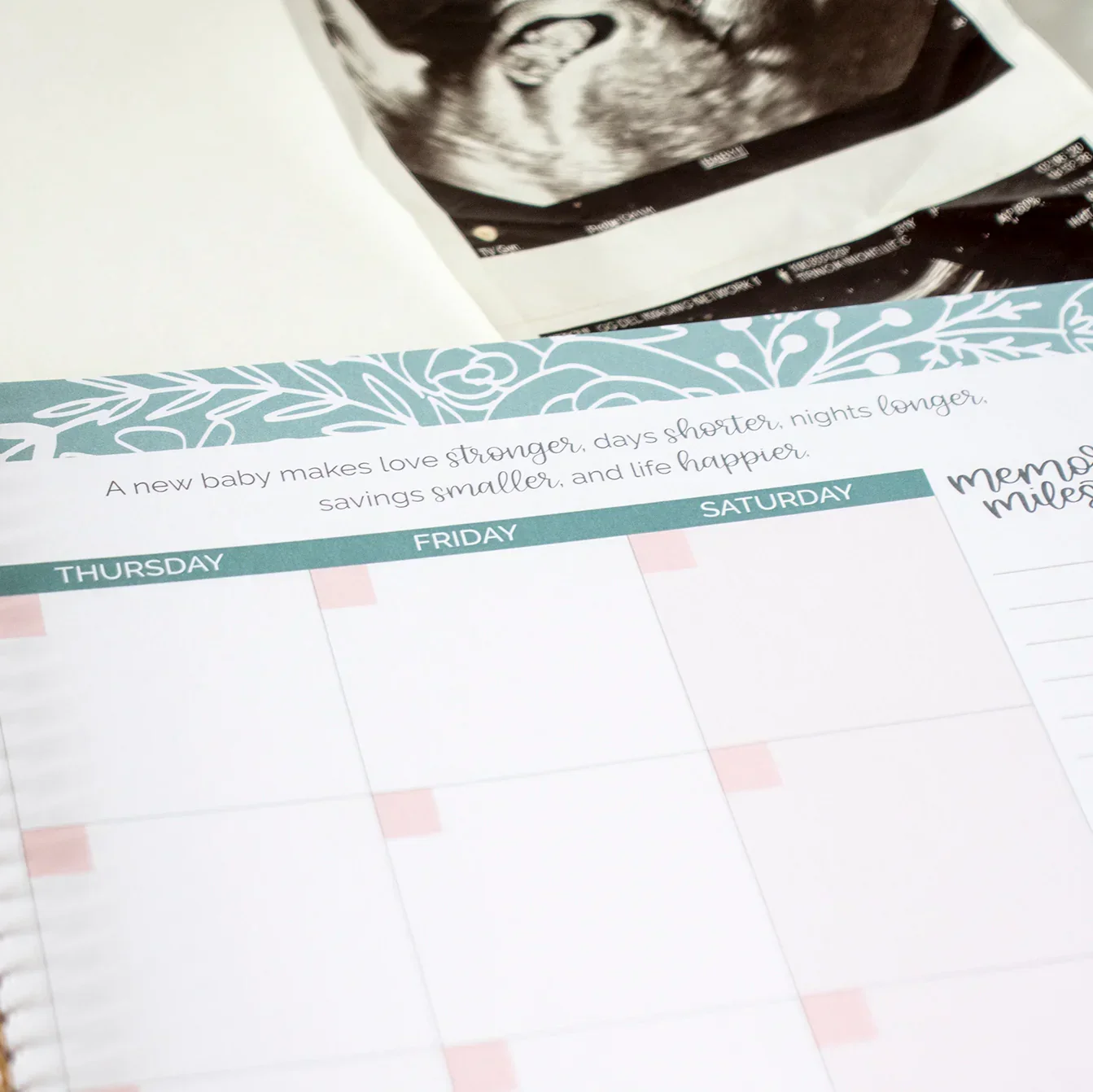 Pregnancy & Baby's First Year Planner & Calendar, The Story of You - Image 22