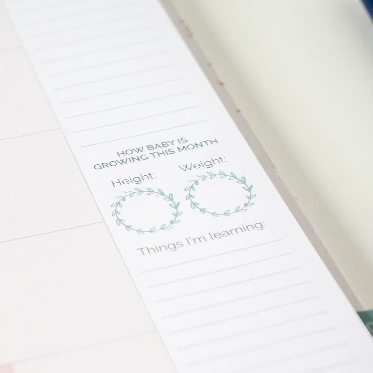 Pregnancy & Baby's First Year Planner & Calendar, The Story of You - Image 23