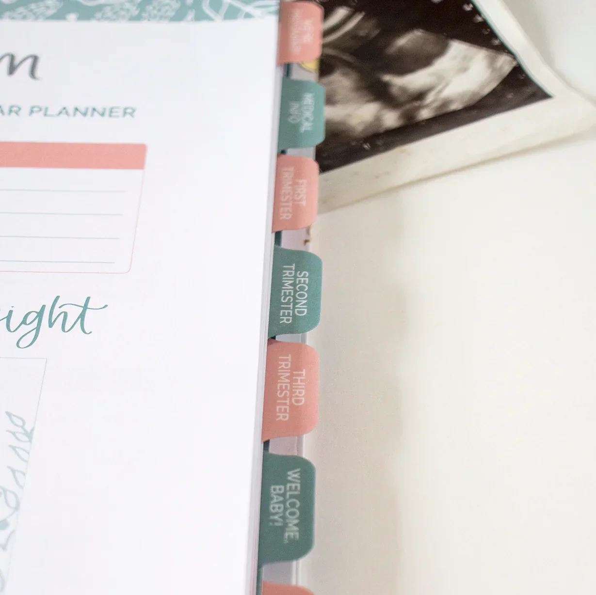 Pregnancy & Baby's First Year Planner & Calendar, The Story of You - Image 30
