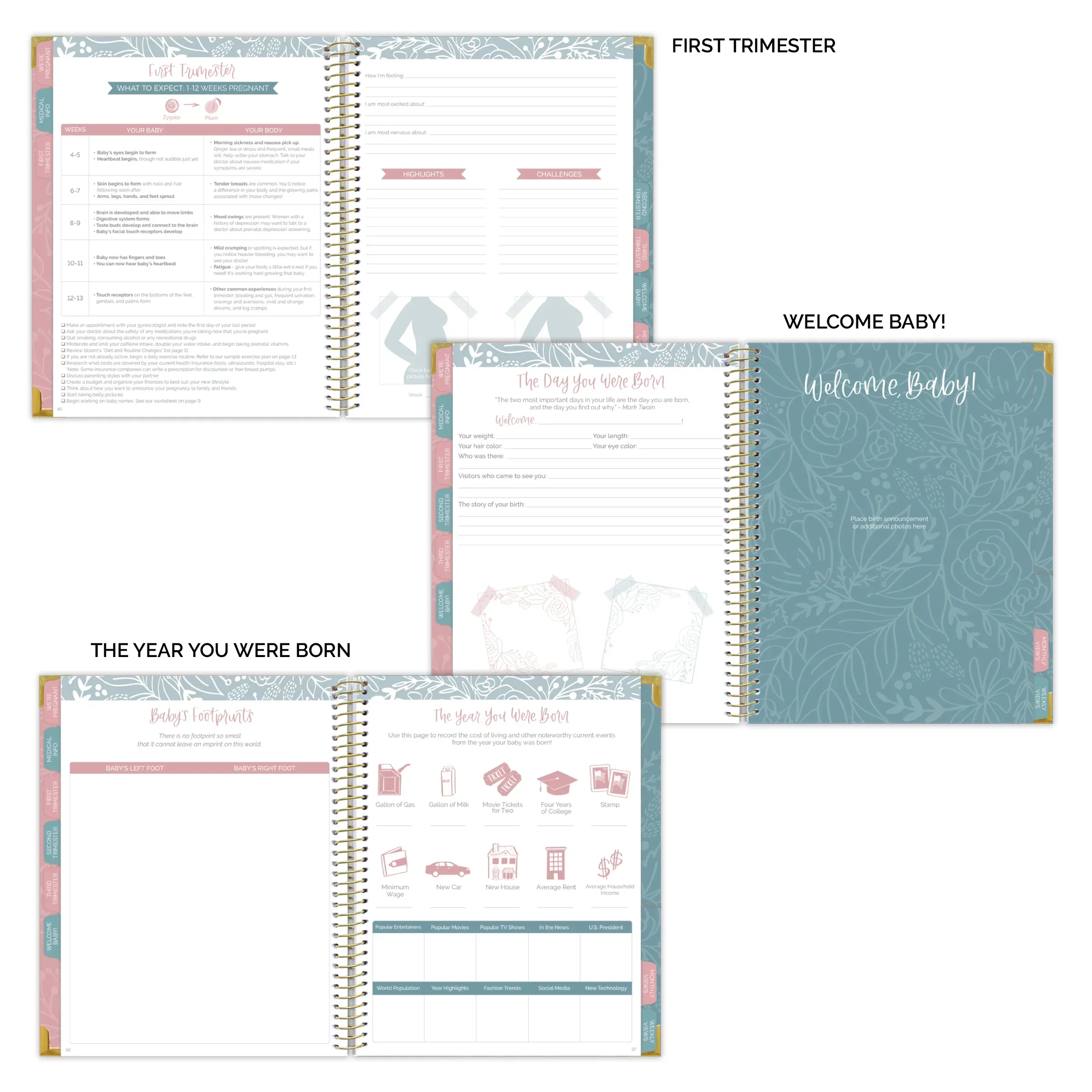 Pregnancy & Baby's First Year Planner & Calendar, The Story of You - Image 9