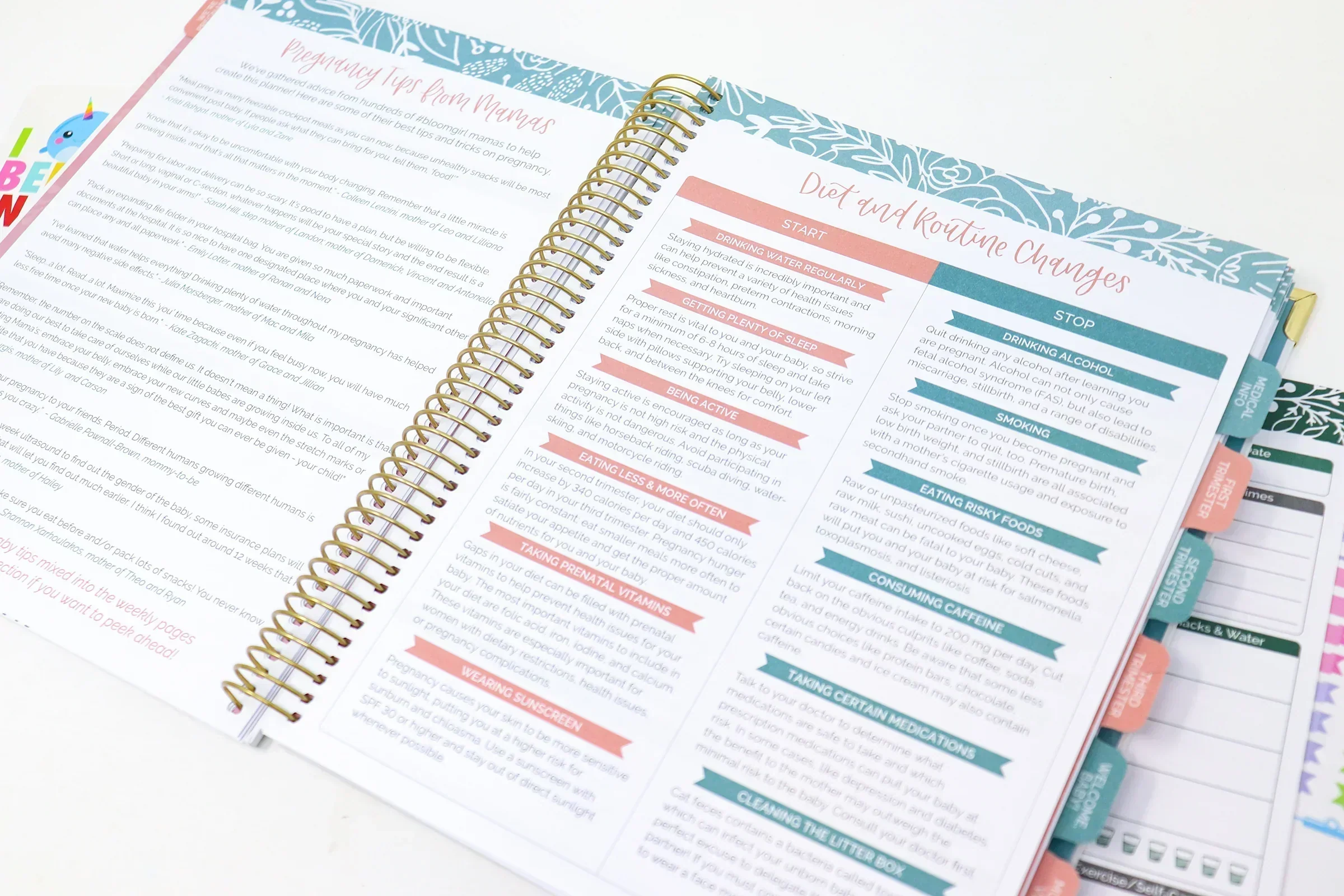 Pregnancy & Baby's First Year Planner & Calendar, Planning for Joy® - Image 11