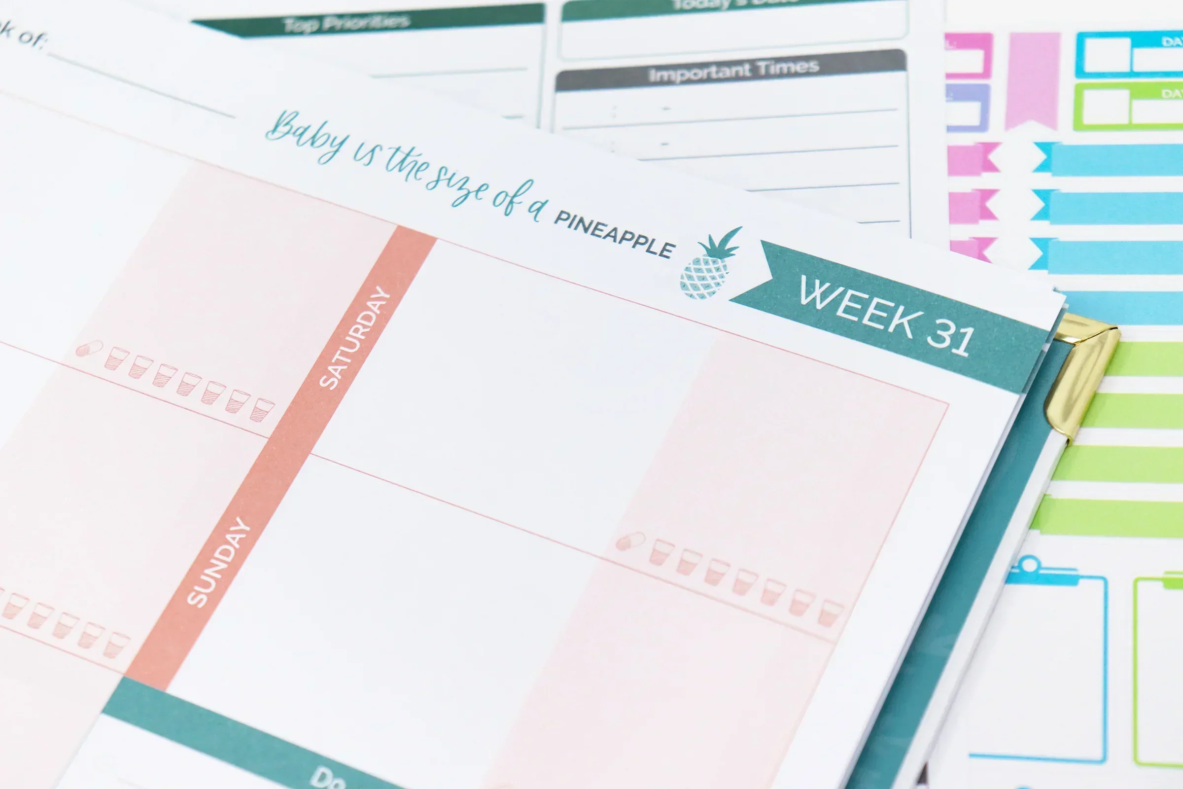 Pregnancy & Baby's First Year Planner & Calendar, Planning for Joy® - Image 14