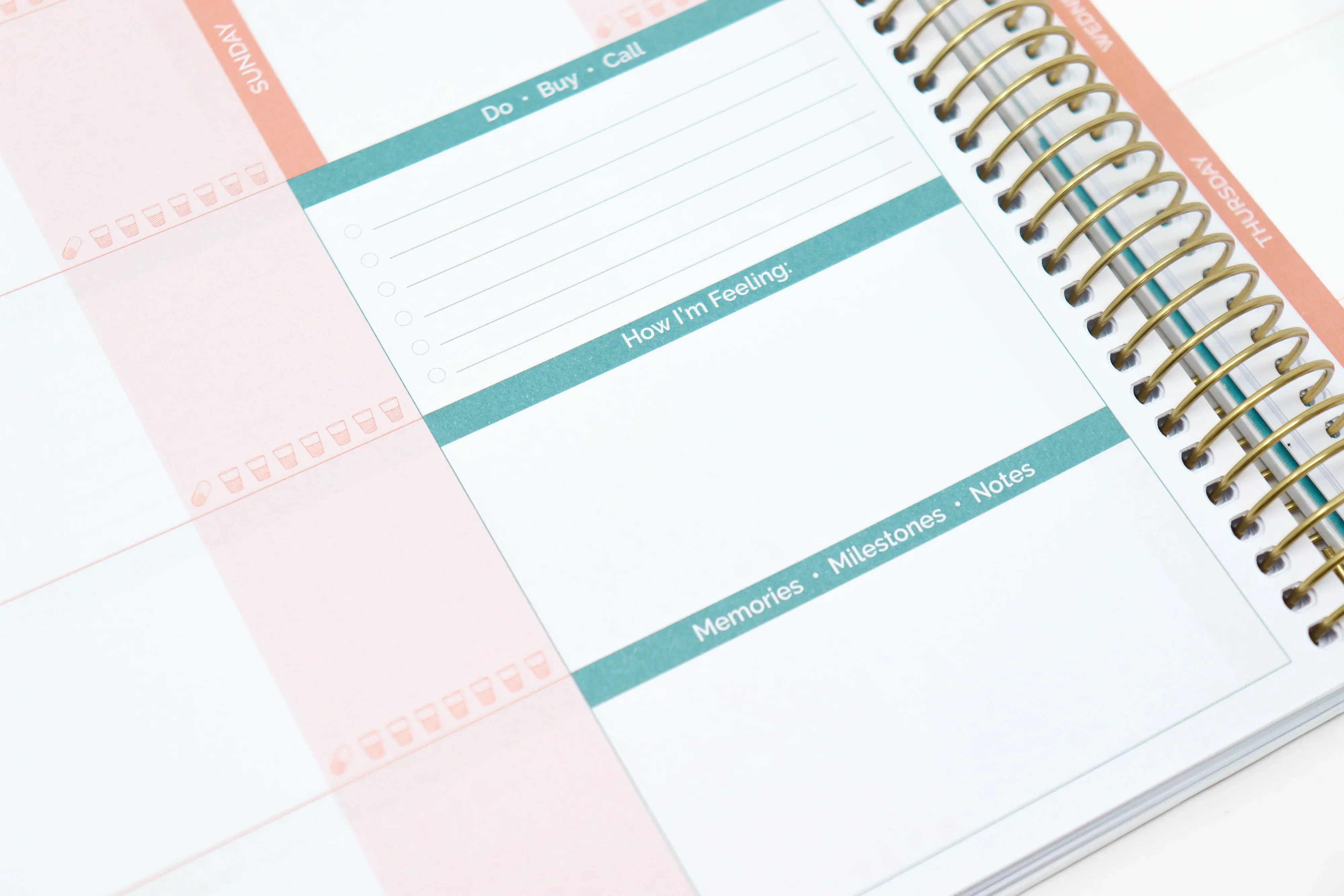 Pregnancy & Baby's First Year Planner & Calendar, Planning for Joy® - Image 26