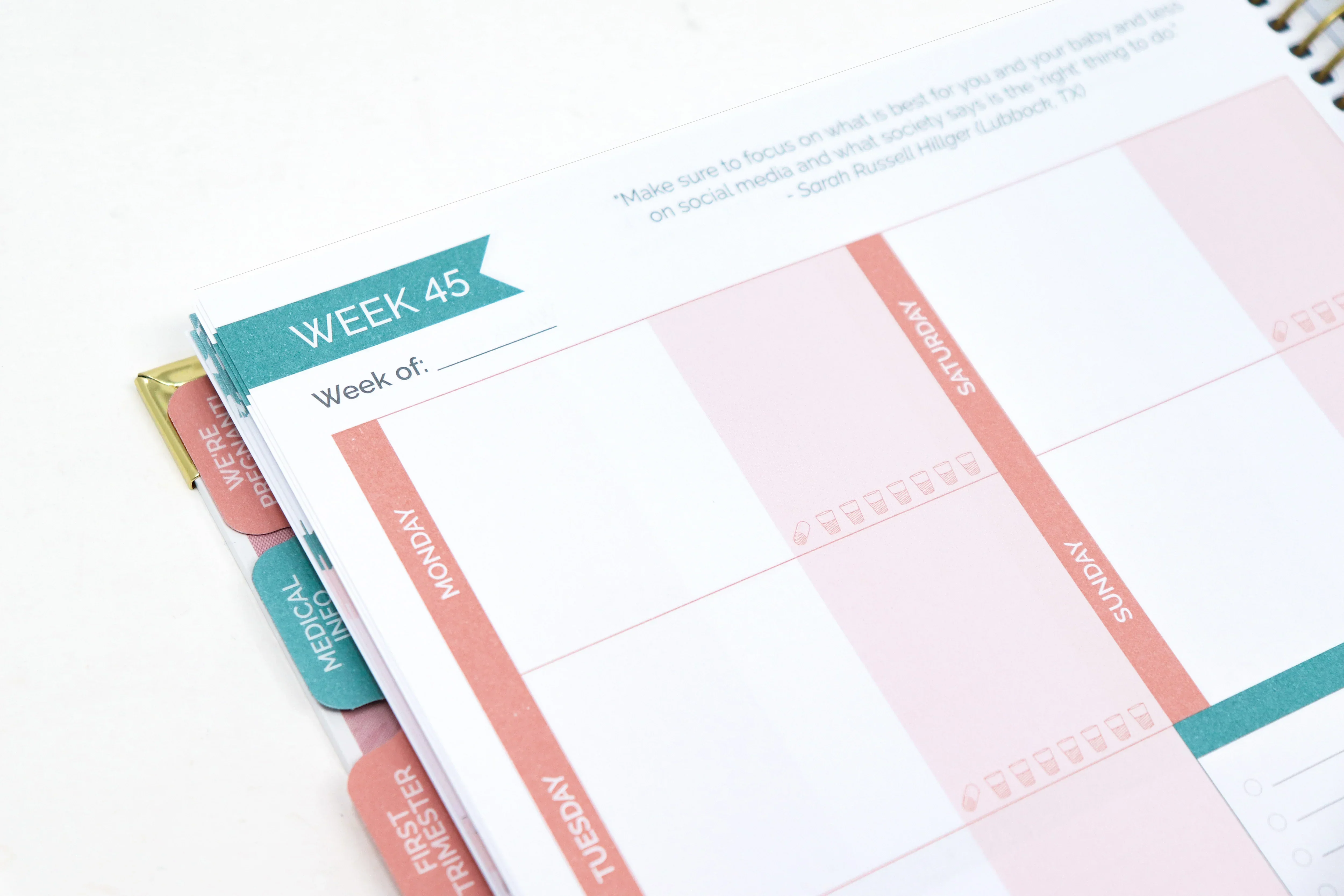 Pregnancy & Baby's First Year Planner & Calendar, Planning for Joy® - Image 31