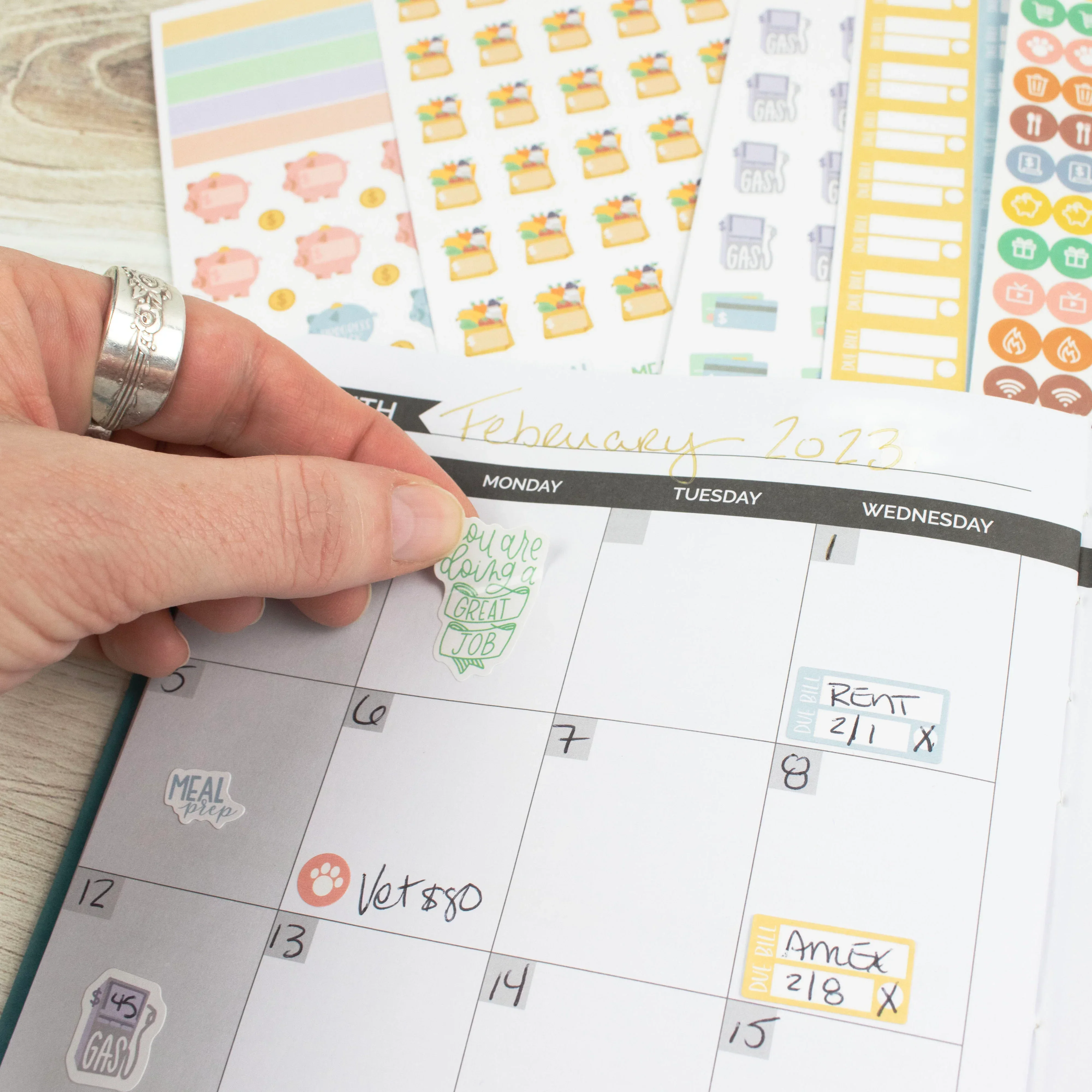 Planner Stickers | Budgeting Pack - Image 17