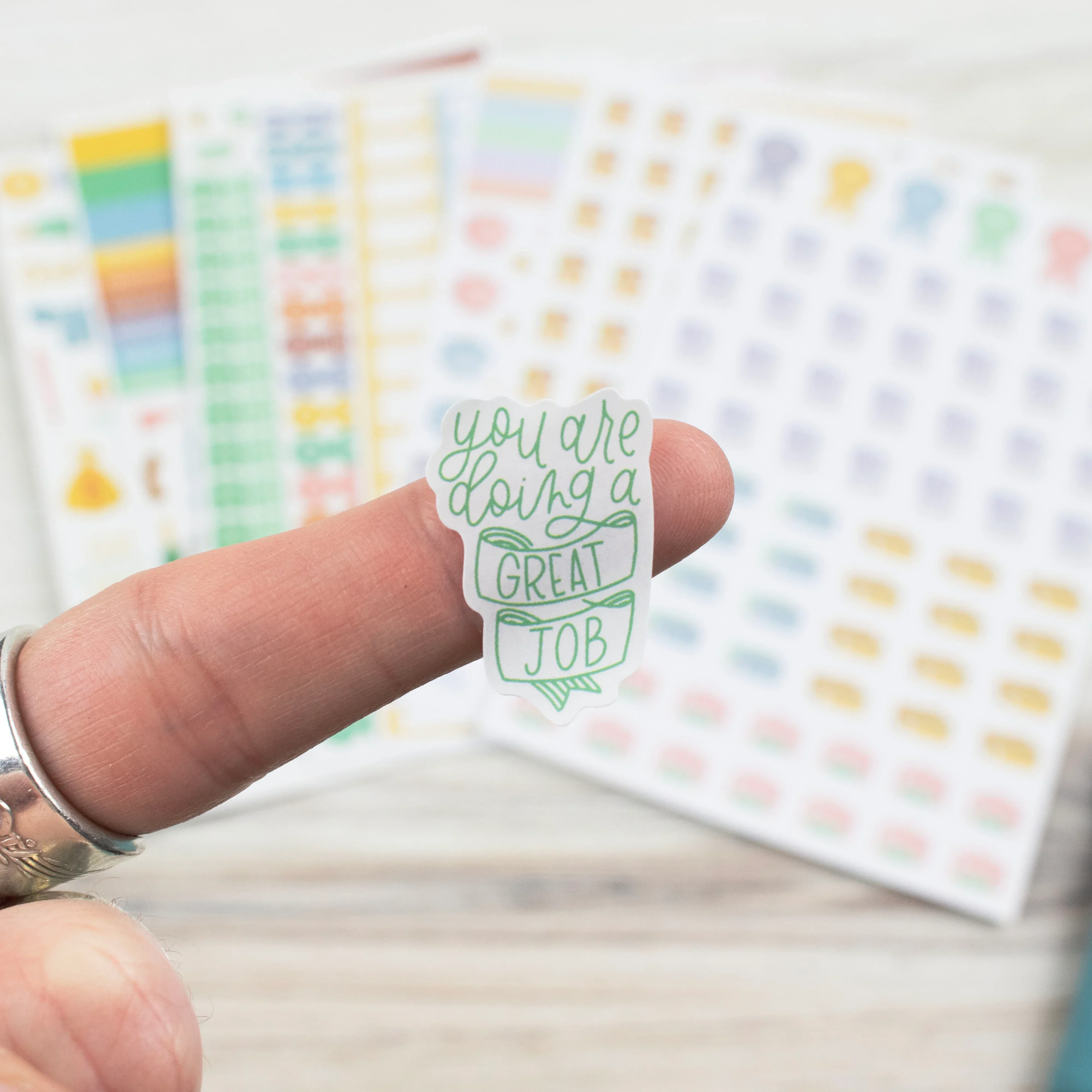 Planner Stickers | Budgeting Pack - Image 18