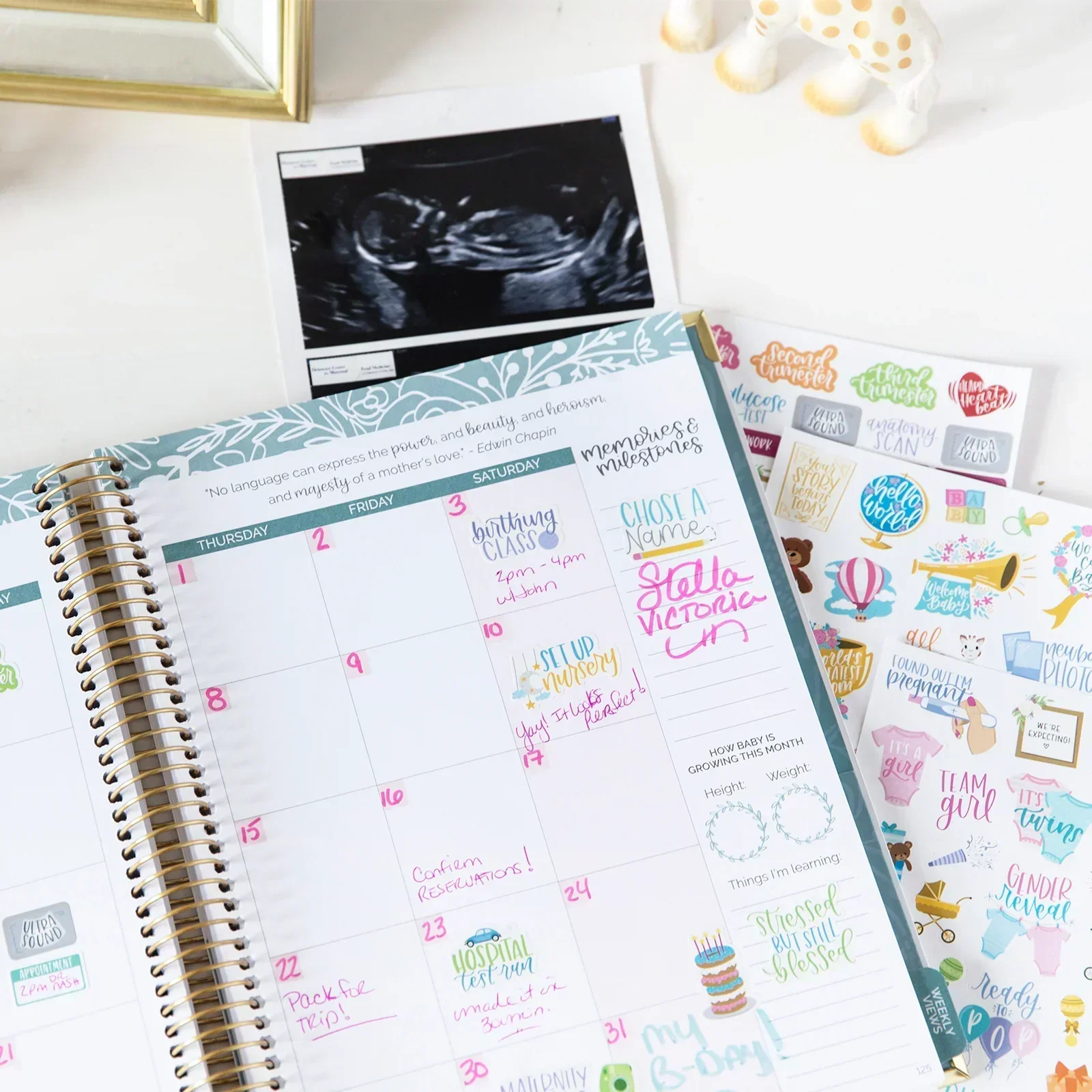 Planner Stickers | Pregnancy & Baby’s First Year - Image 20