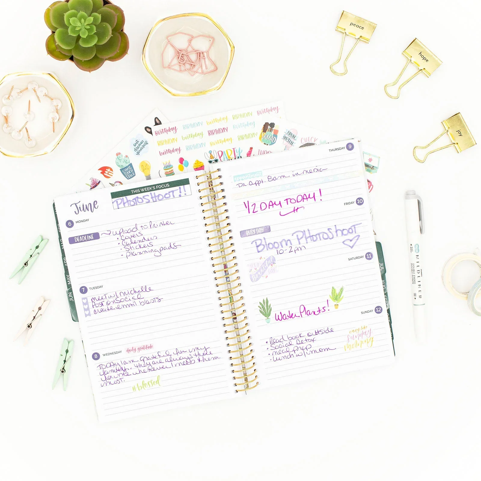 Undated Soft Cover Planner, 5.5" x 8.25", Eucalyptus - Image 13