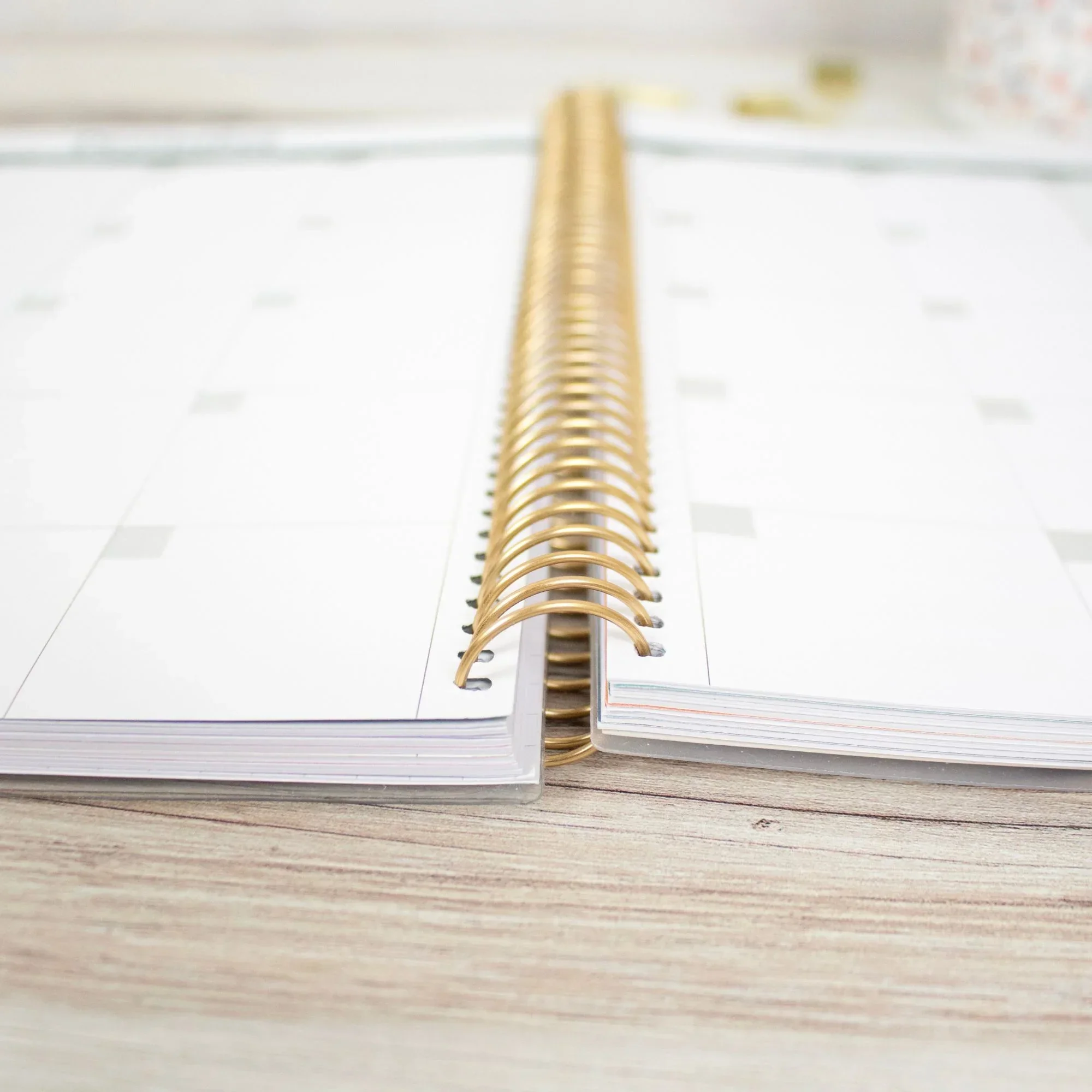 Undated Teacher Planner & Calendar, Interchangeable Cover, Bold & Bright - Image 9