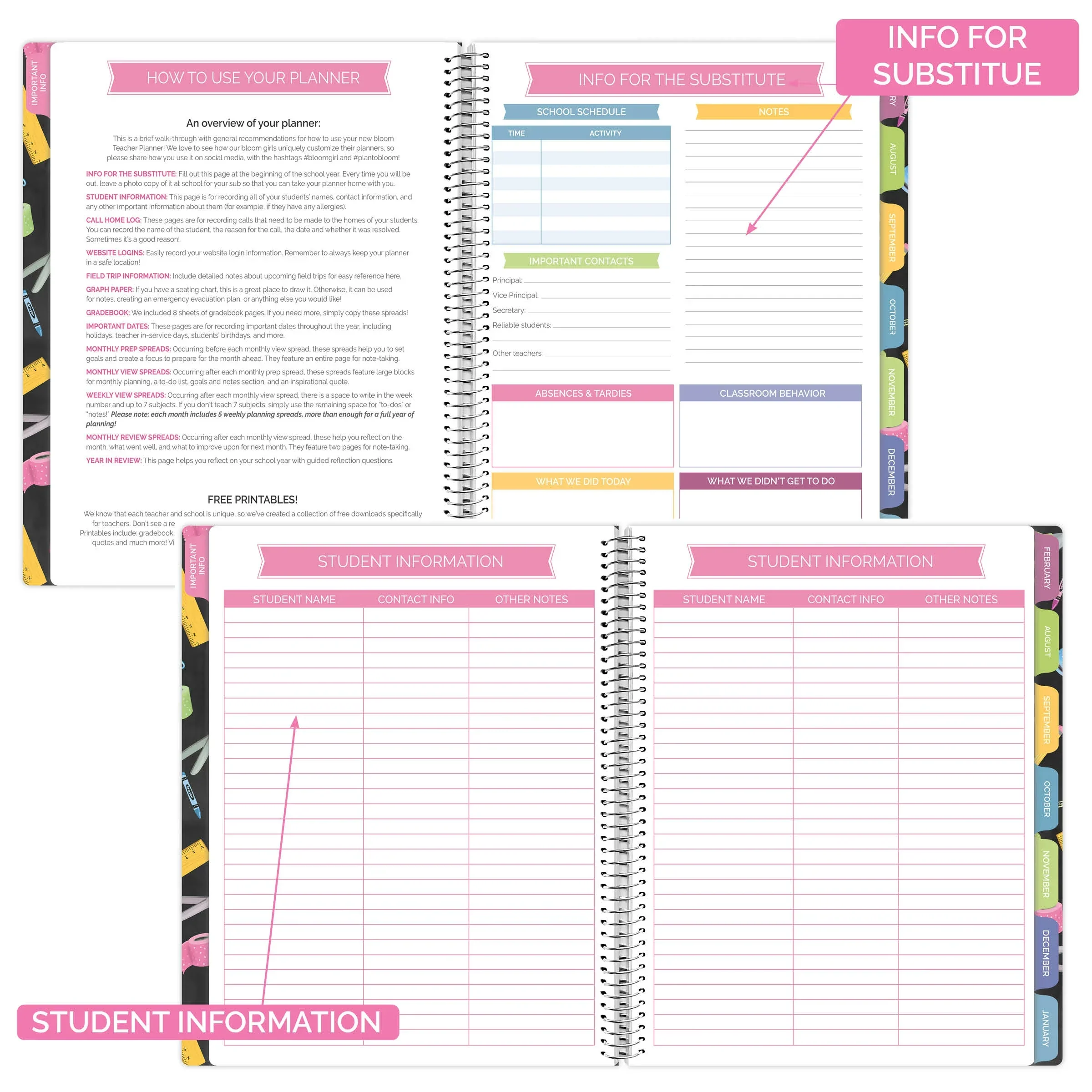 Undated Teacher Planner & Calendar, Chalkboard - Image 6