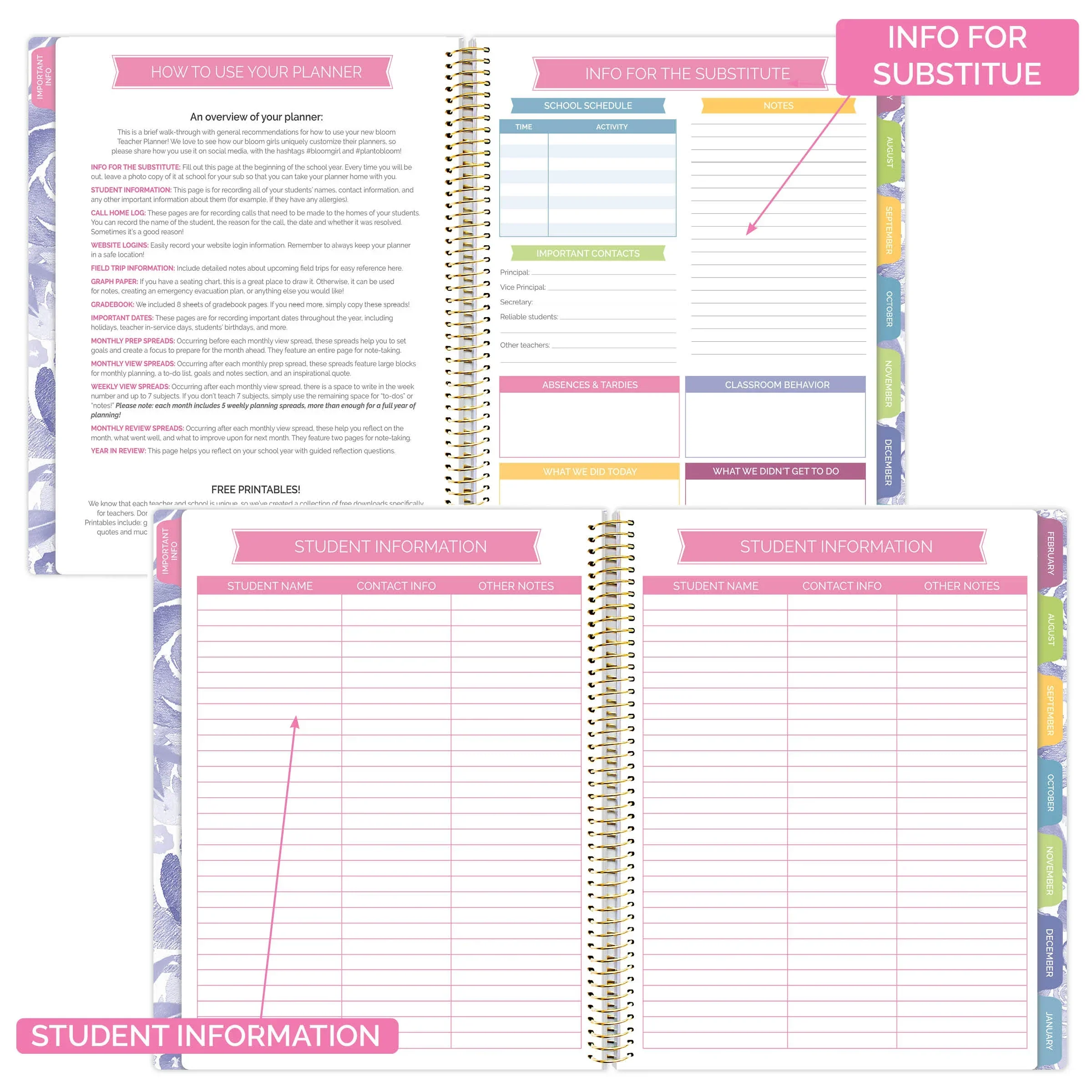 Undated Teacher Planner & Calendar, Watercolor Floral - Image 5